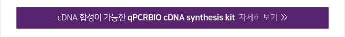qPCRBIO cDNA synthesis kit